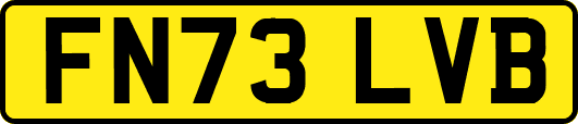 FN73LVB