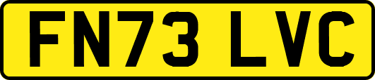 FN73LVC