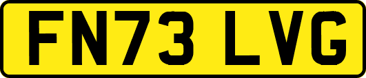 FN73LVG
