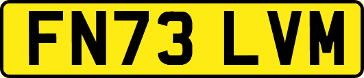 FN73LVM