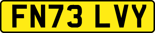 FN73LVY