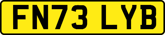 FN73LYB