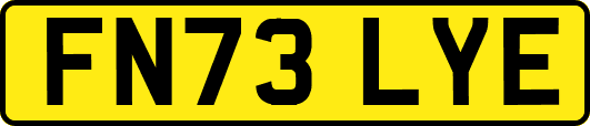 FN73LYE