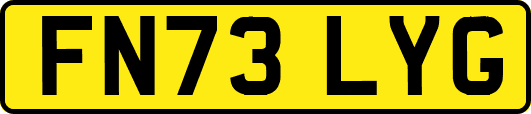 FN73LYG
