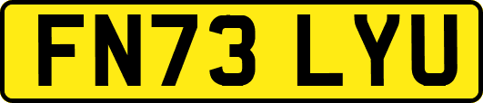 FN73LYU