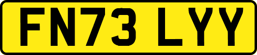 FN73LYY