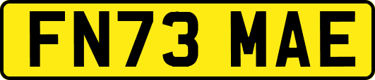 FN73MAE