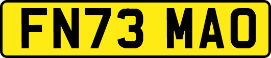 FN73MAO