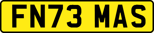 FN73MAS