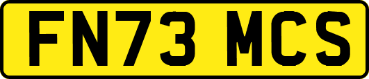FN73MCS