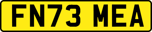 FN73MEA