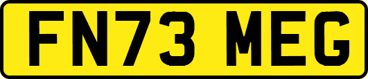 FN73MEG