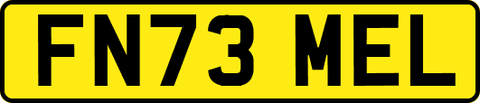 FN73MEL