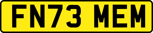 FN73MEM