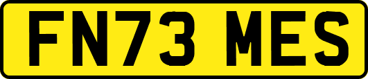 FN73MES