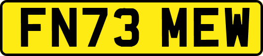 FN73MEW