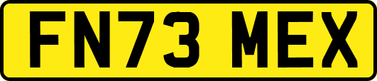 FN73MEX