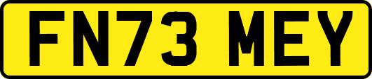 FN73MEY
