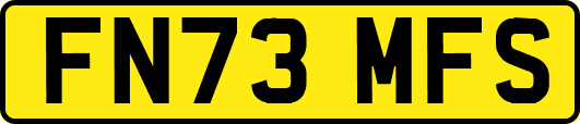 FN73MFS