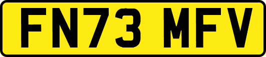 FN73MFV
