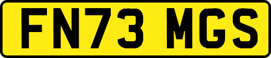 FN73MGS