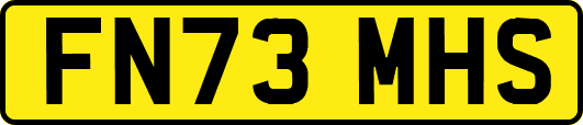 FN73MHS