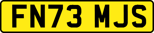 FN73MJS