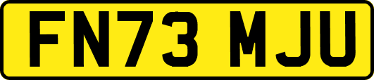 FN73MJU