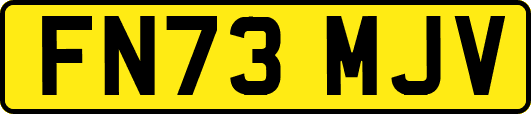 FN73MJV