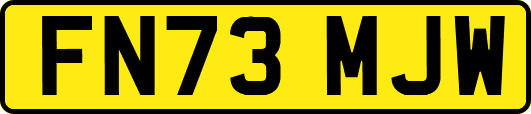 FN73MJW