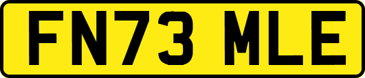FN73MLE