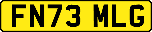 FN73MLG