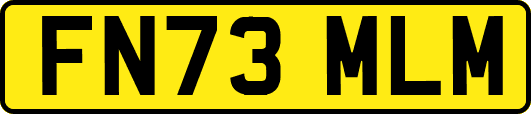 FN73MLM