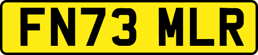 FN73MLR