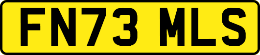 FN73MLS