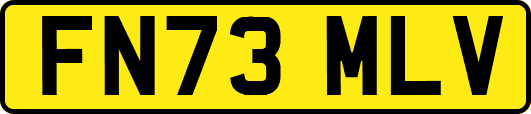 FN73MLV