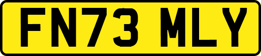 FN73MLY