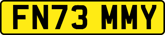 FN73MMY