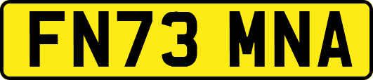FN73MNA