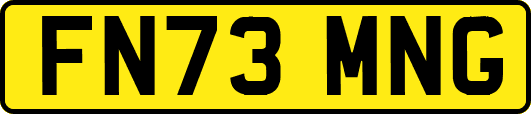 FN73MNG