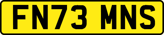 FN73MNS