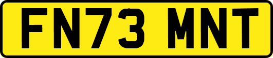 FN73MNT