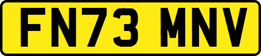 FN73MNV