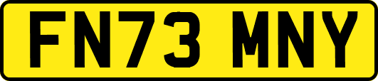 FN73MNY