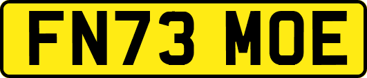FN73MOE