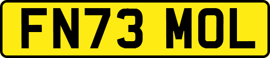 FN73MOL