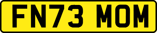FN73MOM