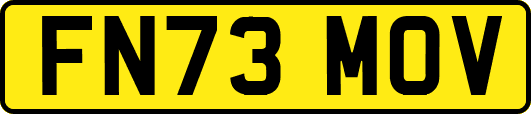 FN73MOV