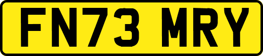 FN73MRY