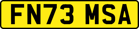 FN73MSA